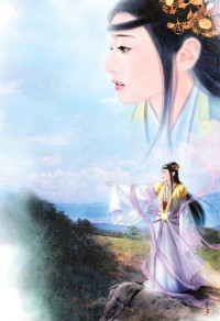 我有墙头千千万